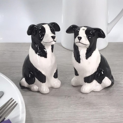 Salt pepper border - pepper, collie