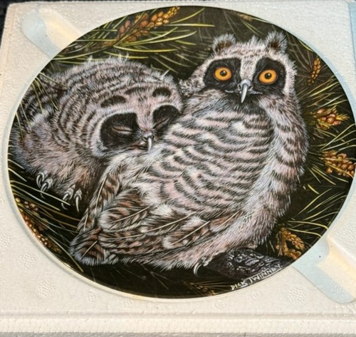 Vintage wedgwood collectors - wedgwood, collectors'
