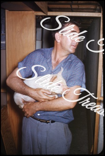 Man holding pig 35mm - man,
