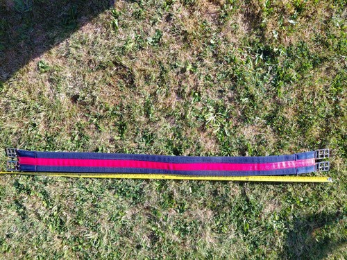 Blue and red horse girth - and,