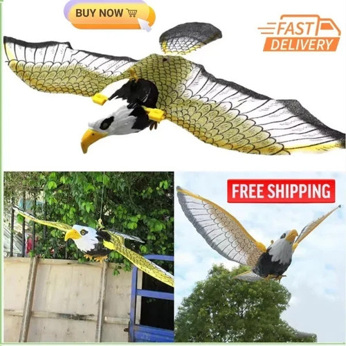 Flying bird hawk - bird,