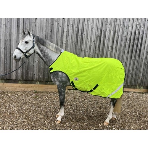 Ruggles viz fleece - hi,