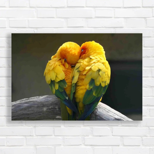 Pair lovebirds original canvas - pair,