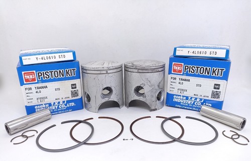 Piston rings kit size - rings,