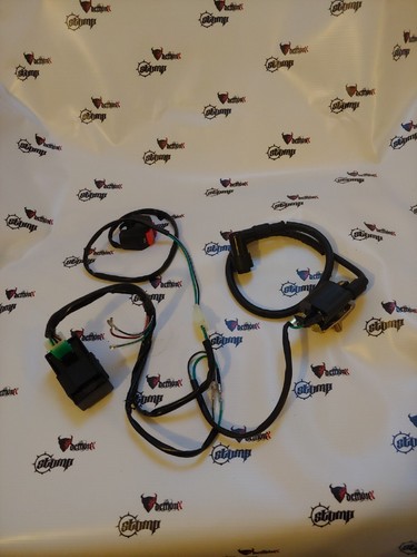 Pit bike complete wiring - bike,