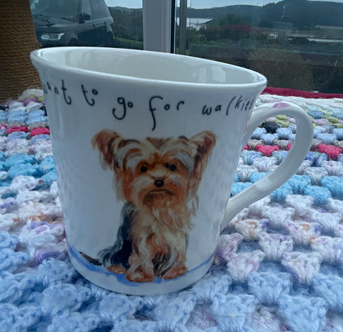 The leonardo collection - collection, yorkie