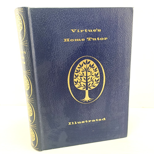 Virtue home tutor - virtue's,
