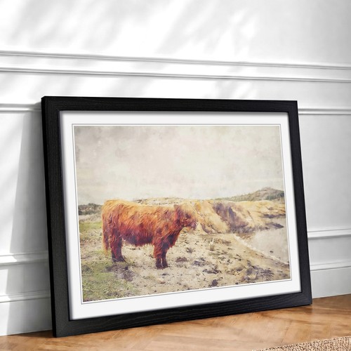 Highland bull cow vol - cow, vol.3