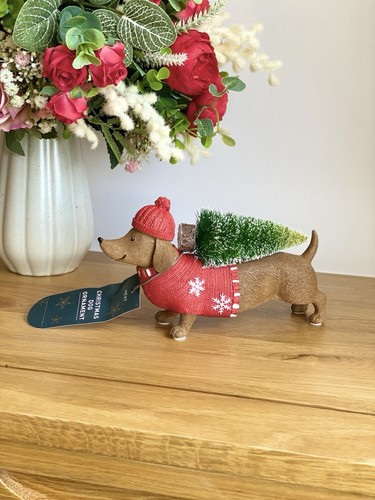 Next red sausage dog dachshund - sausage,