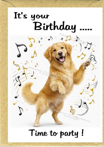 Golden retriever dog - retriever, 4")