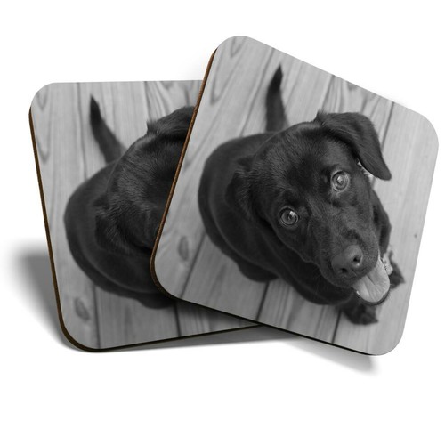 Coasters chocolate - (bw),