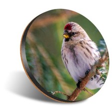 1 x Round 12cm Coaster -