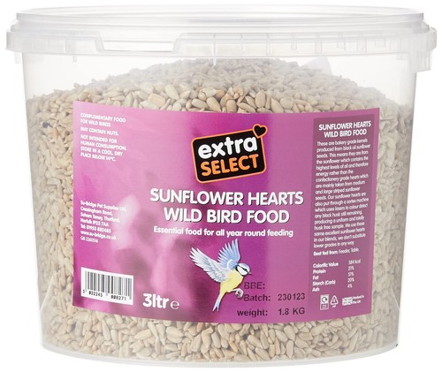 Sunflower hearts bird food - bird,