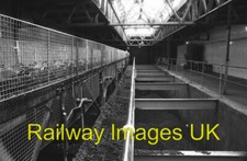 Photo - Hampton Waterworks the
