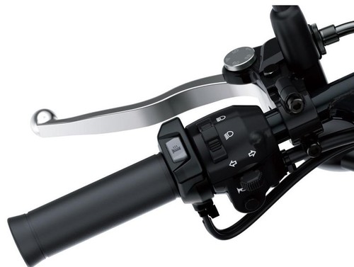 Oem genuine kawasaki w800 - genuine,