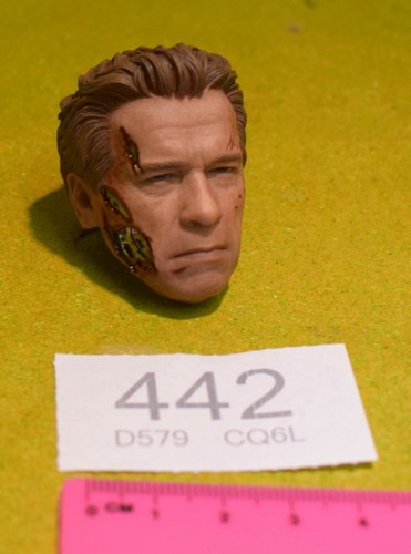 Scale terminator head - 1/6, for