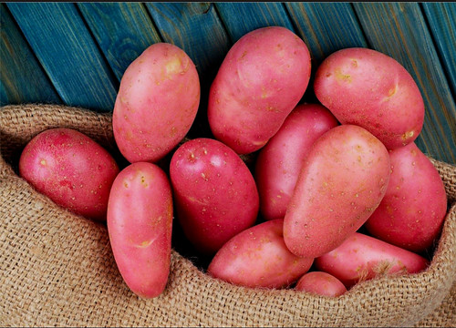 1kg certified red seed - 1kg,