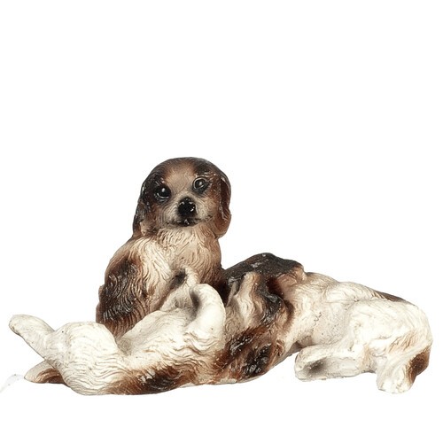 Playing dogs dolls - playing,