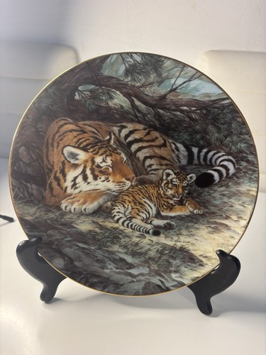 George the siberian tiger - w.s.,