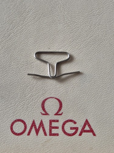 Clasp lock spring for omega - spring,