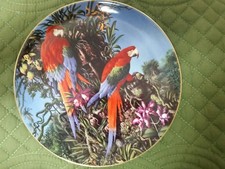 GREEN -WINGED MACAWS COLLECTOR