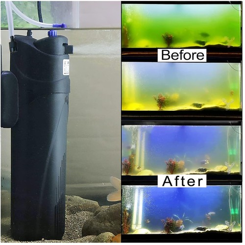 Green clean fish tank - green,