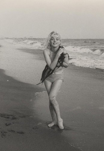 Marilyn monroe 4x6 picture - marilyn,