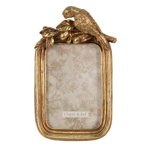 Parrot antique gold photo - parrot,