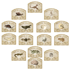 Halloween Witch Apothecary