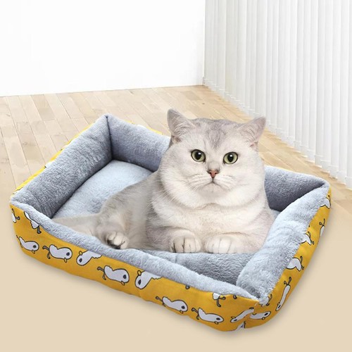 Dog bed pet - dog,