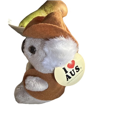 Australia souvenir koala - australia,