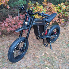 Powerful 20"Electric Bike 60V