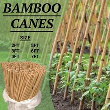 Premium Bamboo Canes Thick