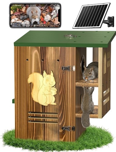 Squirrel box with - squirrel,