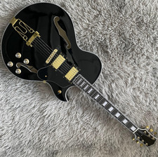 Byrdland Electric Guitar