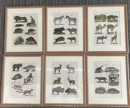 Set pictures framed - set,