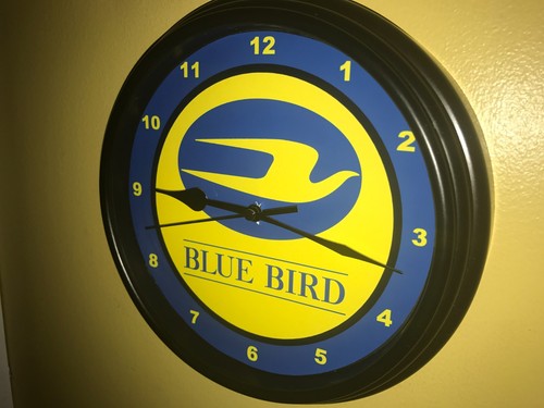 Blue bird school - school, driver