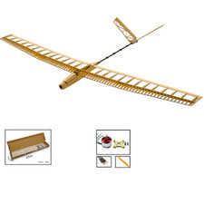 Balsawood RC Airplanes Model
