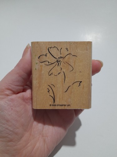 Collection wooden block - collection,