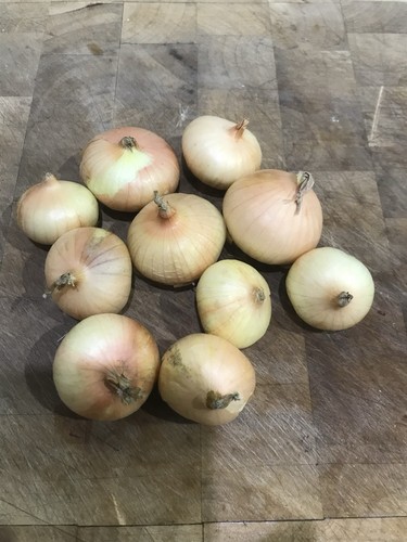 White potato onions - 10,