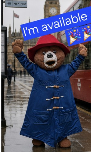 Bear style mascot costume - bear,