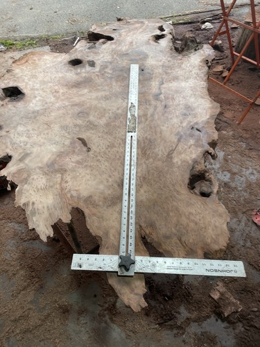 Old growth redwood burl - redwood,