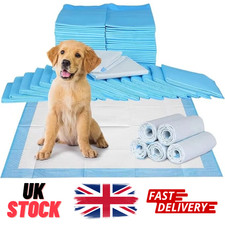 Large Scented Puppy Pet