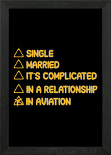 In aviation Framed Wall Art