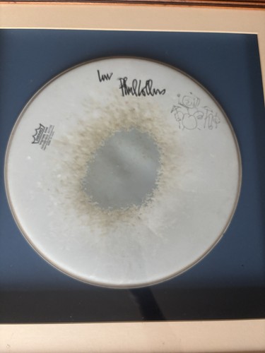 Phil collins signed drum - signed, top