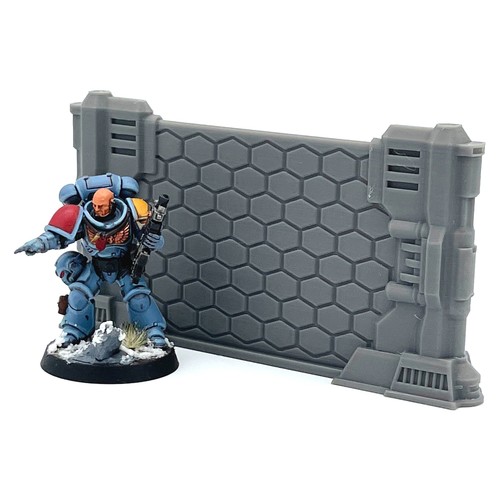 Forcefield shield door 28mm - door,