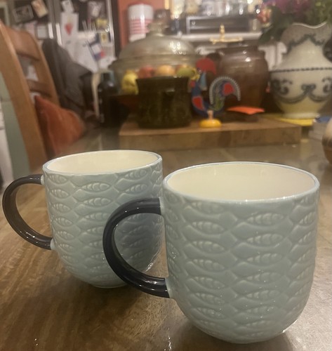Pair pale blue mugs - pale,