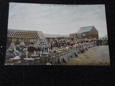 Herring Workers Shetland Postcard - 110877
