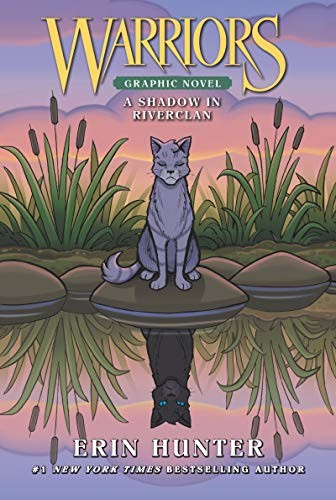 Warriors shadow in - warriors:,