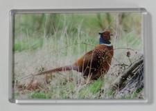 EXTRA LARGE FRIDGE MAGNET ❤